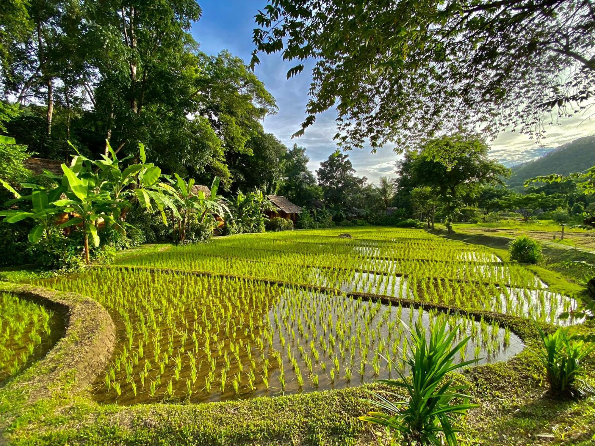 Fern Resort Mae Hong Son Esterno foto