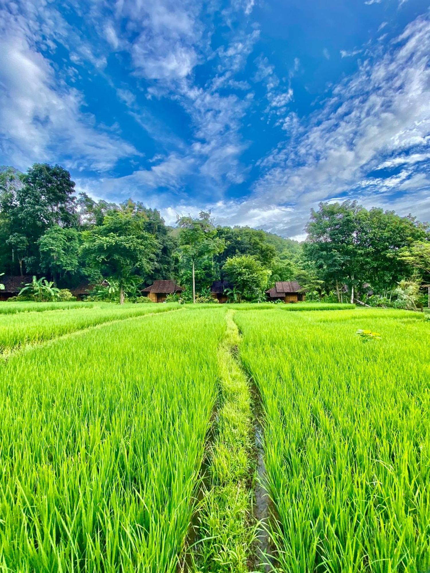 Fern Resort Mae Hong Son Esterno foto