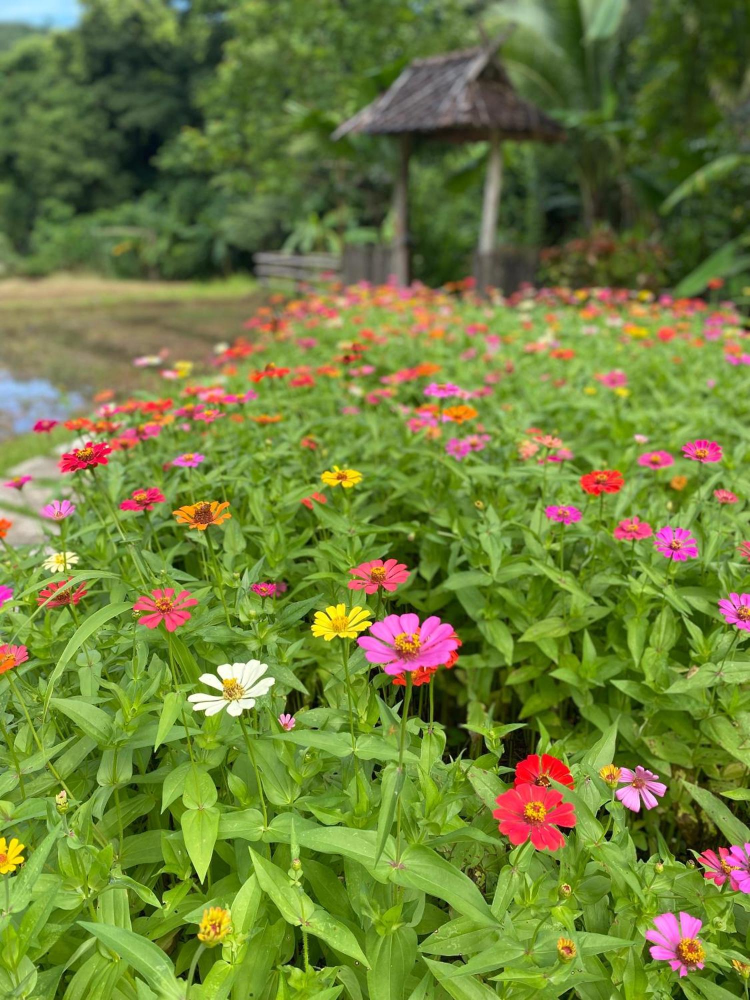 Fern Resort Mae Hong Son Esterno foto