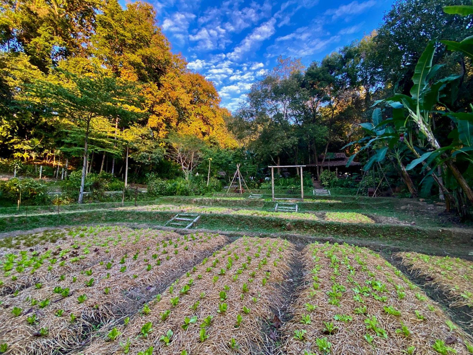 Fern Resort Mae Hong Son Esterno foto