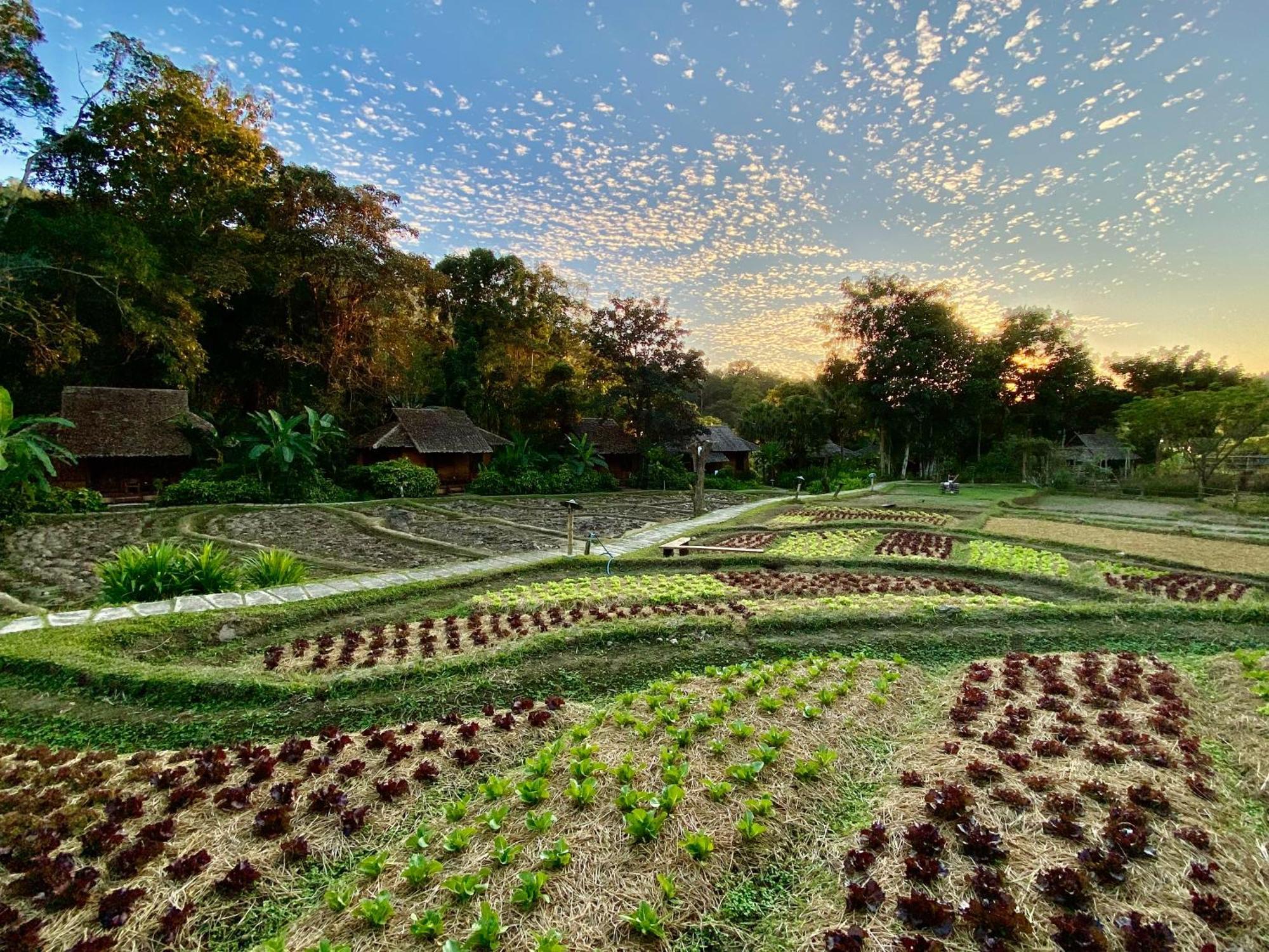 Fern Resort Mae Hong Son Esterno foto